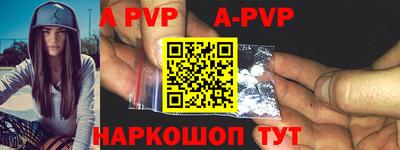a pvp Новозыбков
