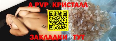a pvp Новозыбков